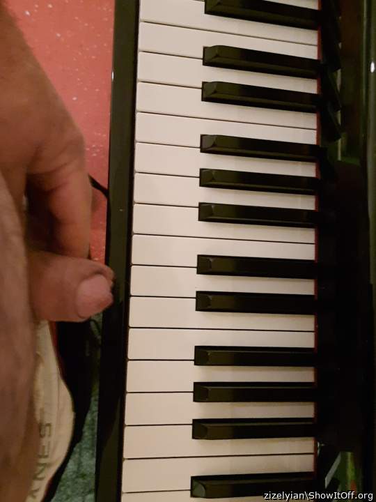 gay cock pianists