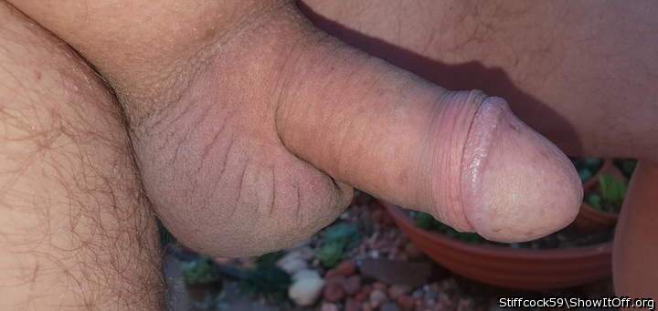 Photo of a stiffie from Stiffcock59