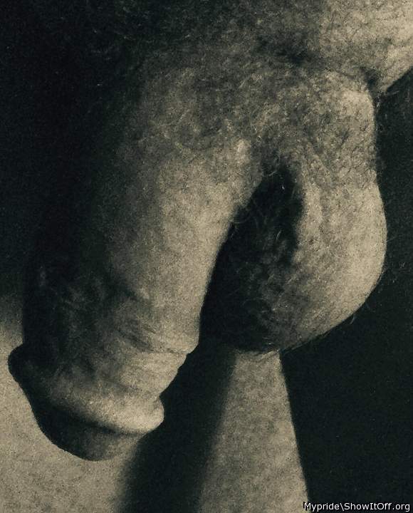 Photo of a wiener from Mypride