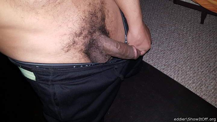 Photo of a middle leg from eddier