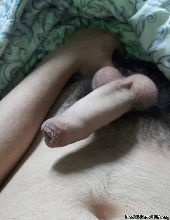 Photo of a bat from Jaco86