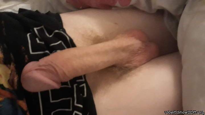 Photo of a cock from robert