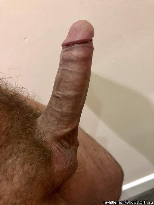 Photo of a snake from heylittleman
