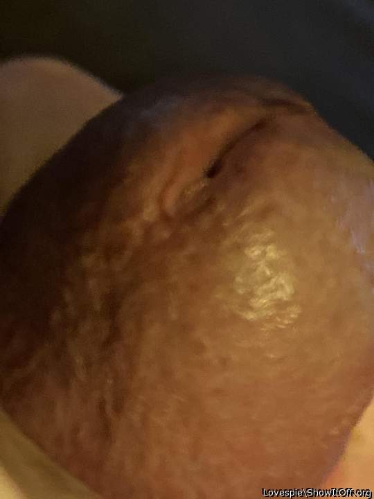 Photo of a cavalier from Lovespie