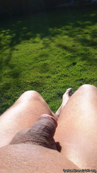 Photo of a love stick from Bertie