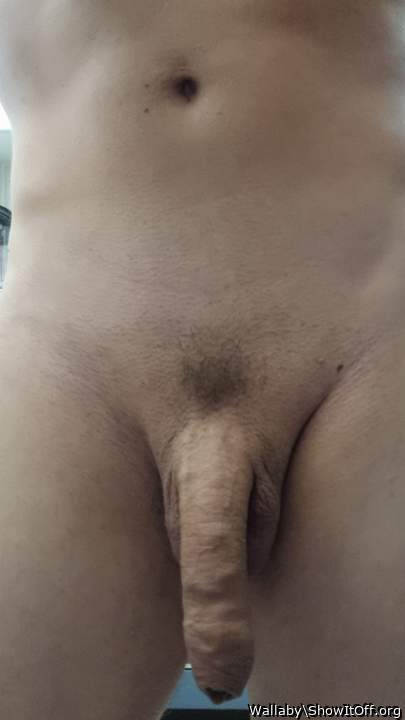 Nice uncircumcised penis !!