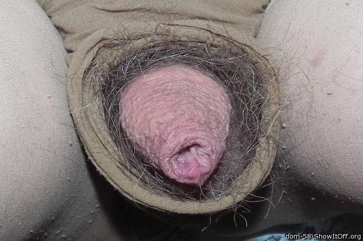 Photo of a sausage from dom-58