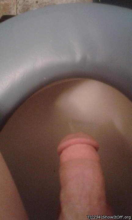 Photo of a snake from Tj1234