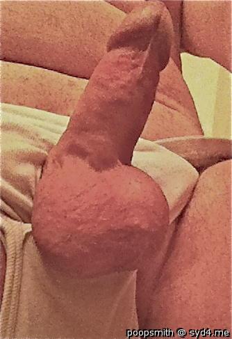 Photo of a phallus from PoopSmith