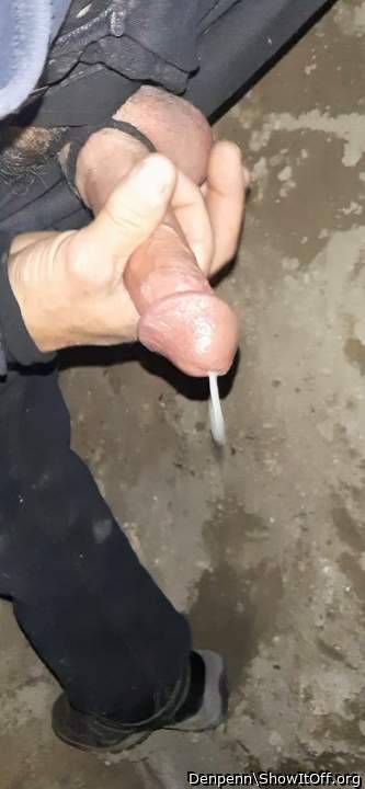 Photo of a power tool from Denpenn