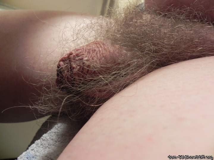 Photo of a dick from dom-58