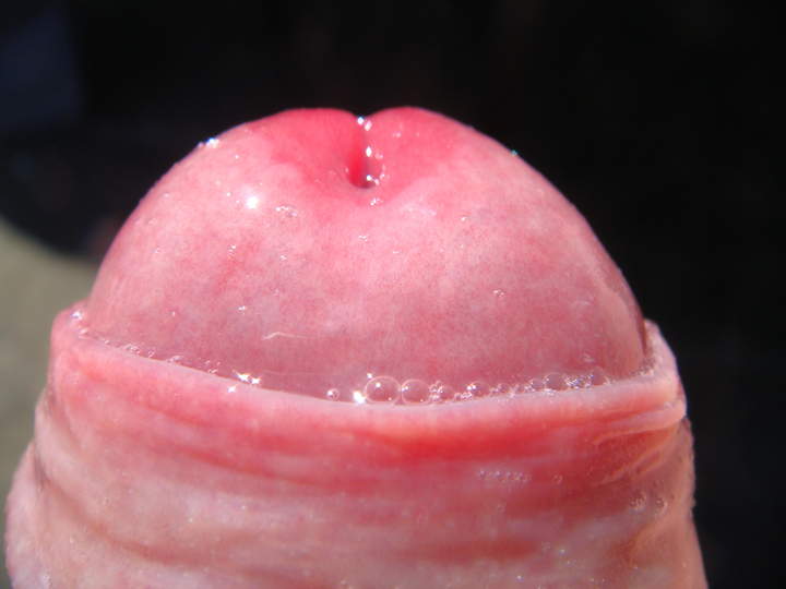 Photo of a meat stick from sivad666