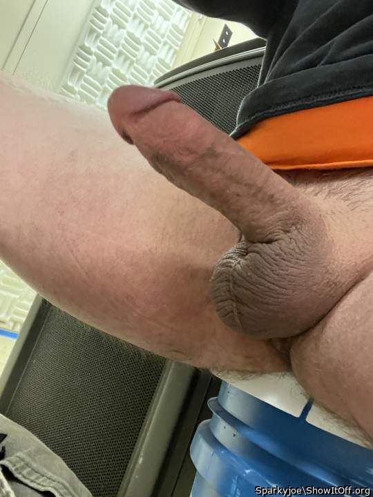 Photo of a python from Sparkyjoe