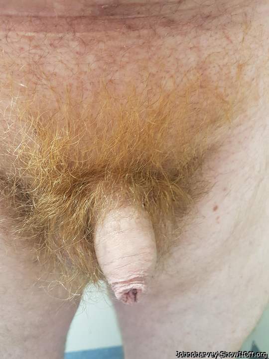 beautiful penis 