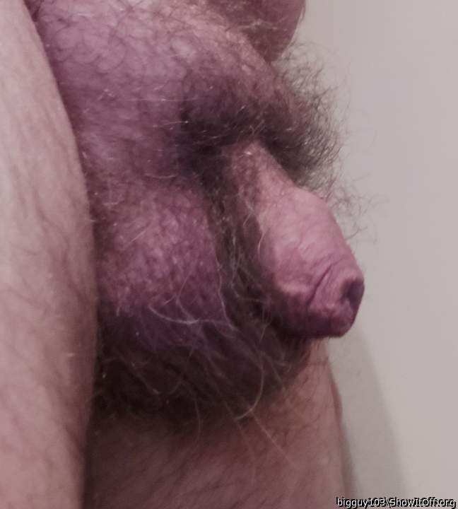 Photo of a cavalier from bigguy103
