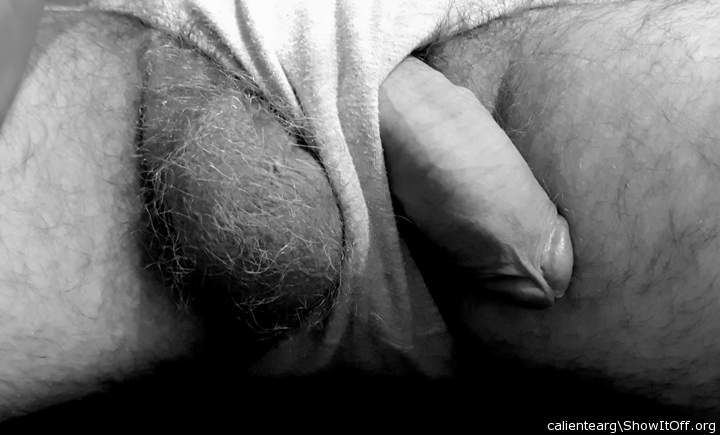 Photo of a wiener from calientearg