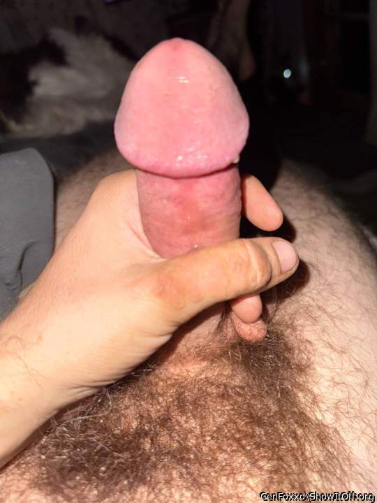 Photo of a rooster from CenFoxxo