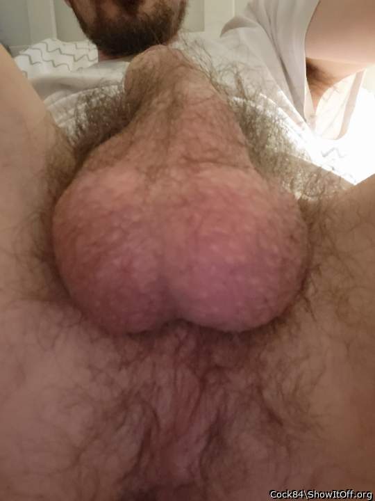 Testicles Photo from Cock84