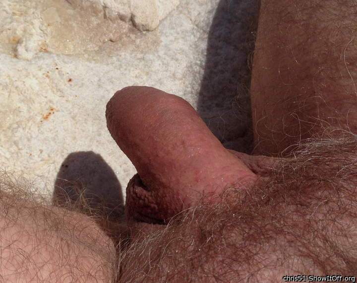 Playing like lizard dick - sunning on a warm rock