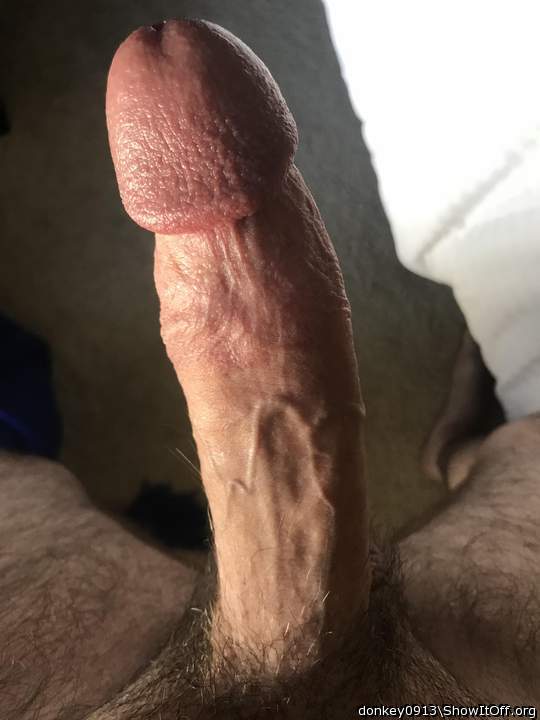 Photo of a dong from Donkey0913