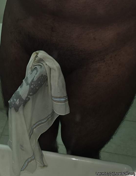 Photo of a bat from hermit11