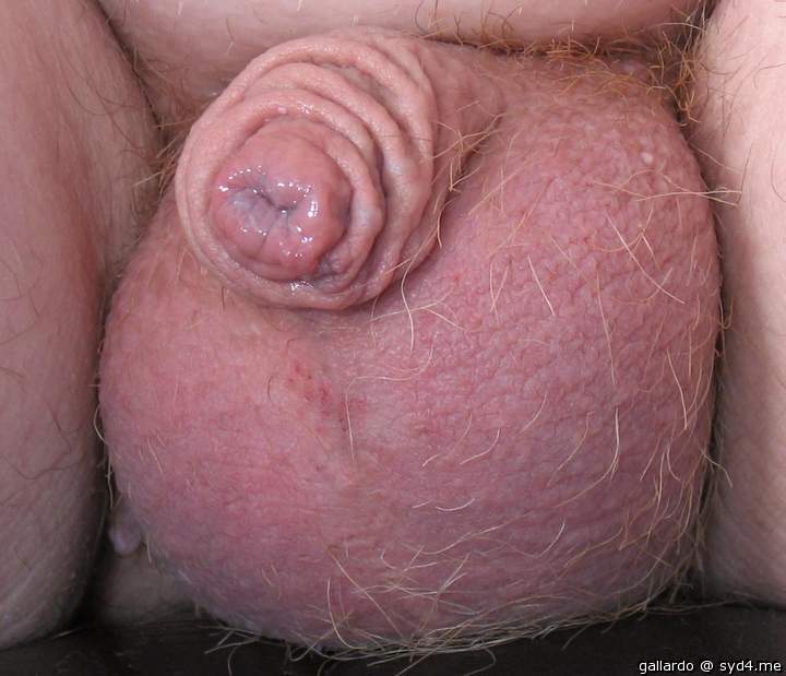 Cock and Balls