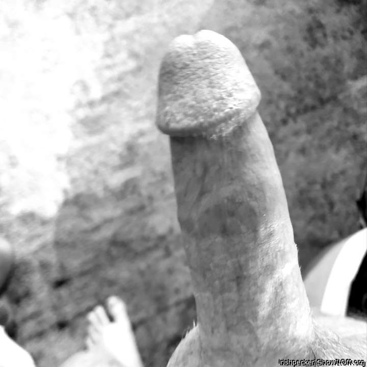 Photo of a joystick from irishpecker