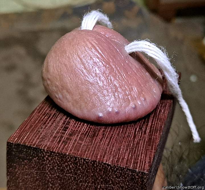 Photo of a dong from caliber