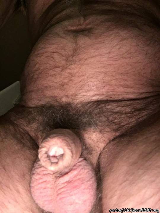 Photo of a tool from yardog319