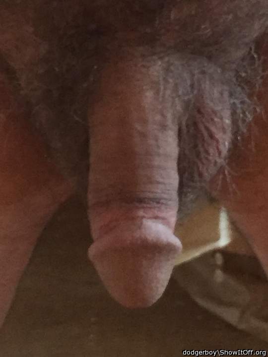 Photo of a one-eyed monster from dodgerboy