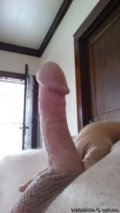 Photo of a ram rod from Hardnstrokin