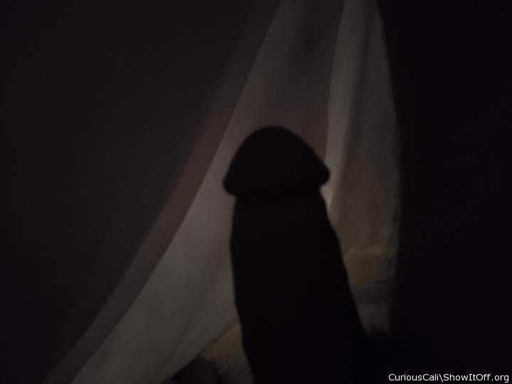Adult image from CuriousCali