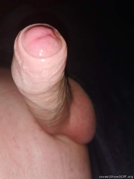 Beautiful cock, covas!