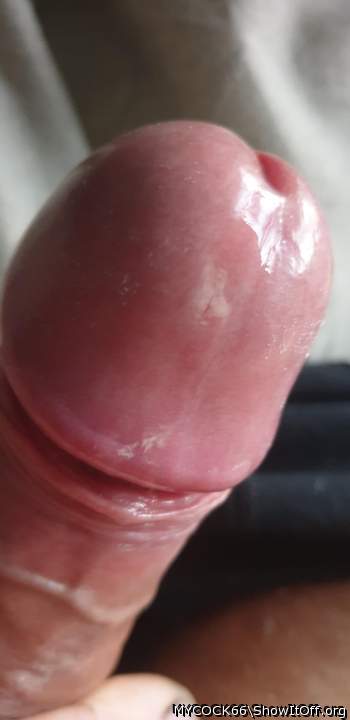 Photo of a schlong from MYCOCK66