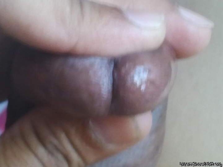 Photo of a sausage from bizen