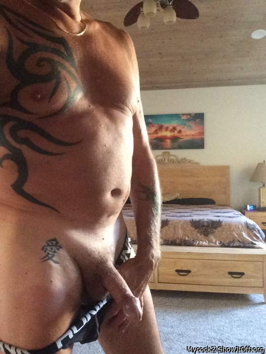 Photo of a bat from Mycock2