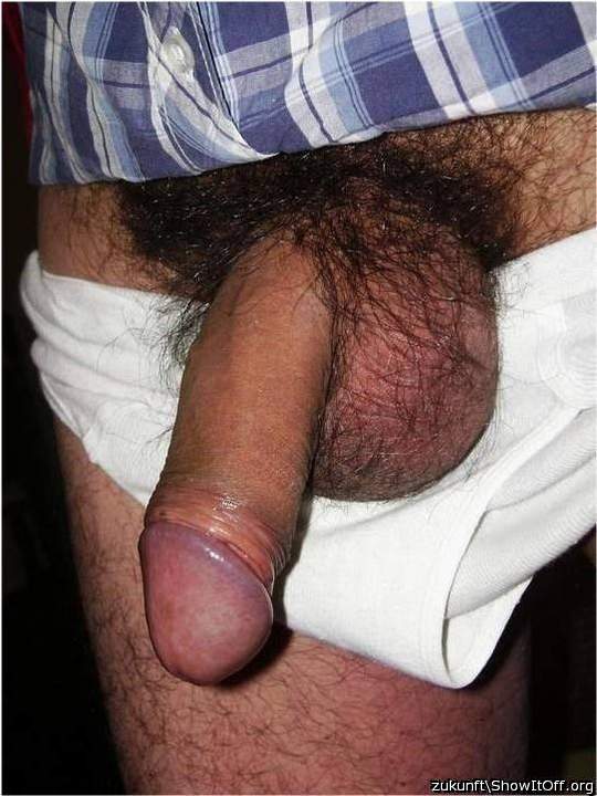 Photo of a cock from zukunft