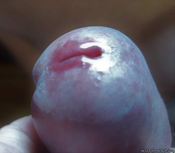 Photo of a meat stick from w123