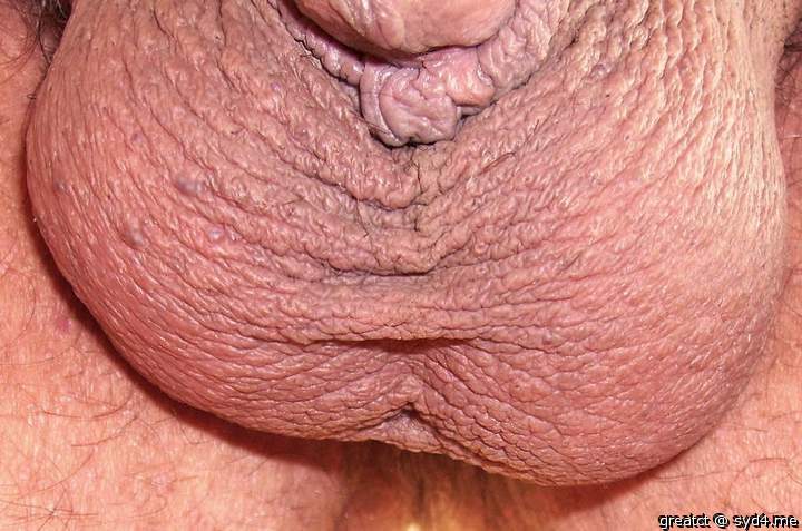 WOW! What a ball sack!   
Would love to feel them next to m