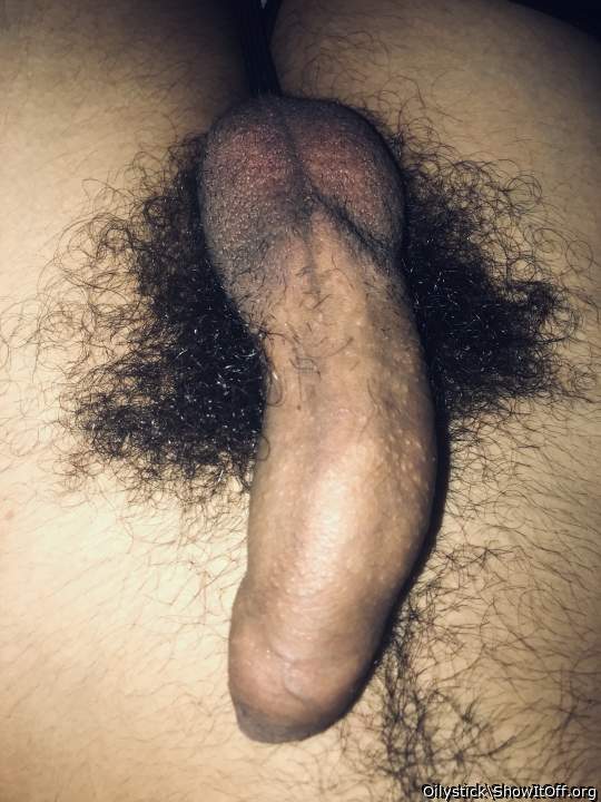 Photo of a third leg from Oilystick