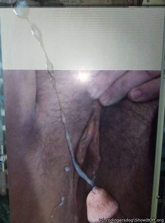 Photo of a horn from schrodingersdog