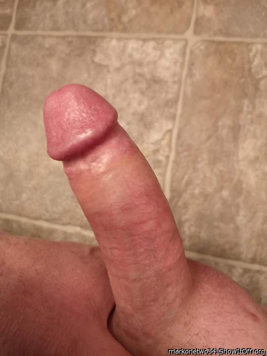 Photo of a middle leg from markonetwo34