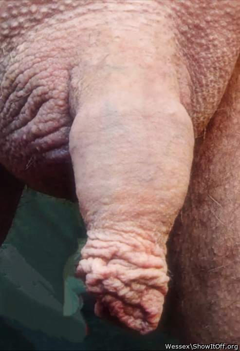 nice uncut dick 