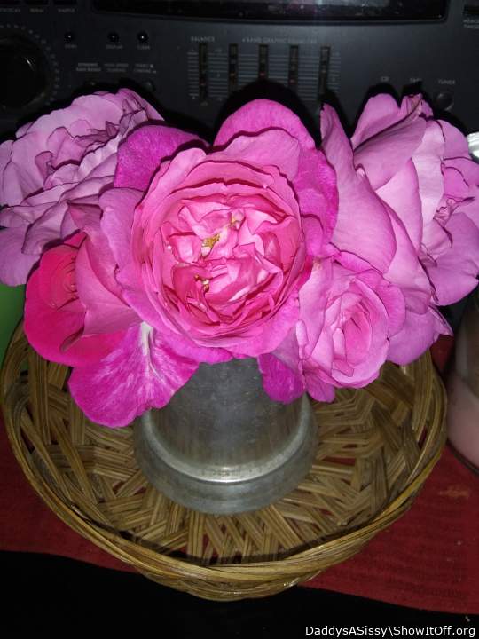 Thnx for the flowers. Master.     N for whipin me with the.  Stems Thorns. 
