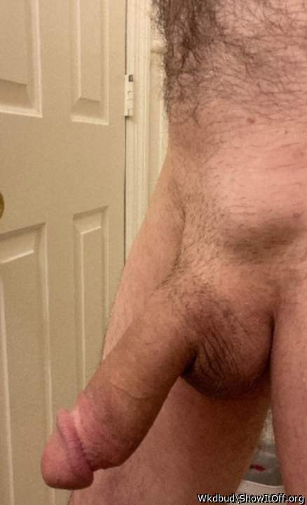 Photo of a shaft from Wkdbud