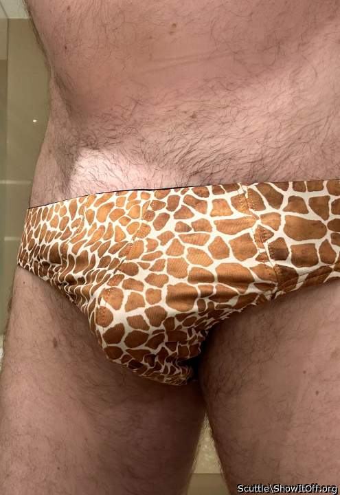 Photo of a middle leg from Scuttle