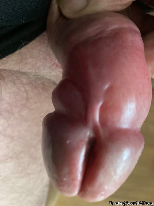 Photo of a one-eyed monster from Thirdleg