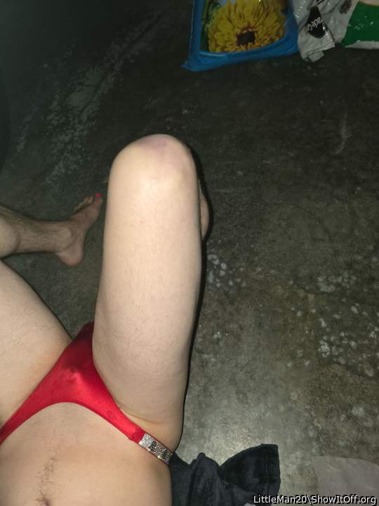 Photo of a rooster from LittleMan20