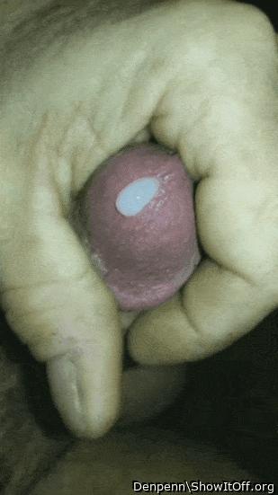 Adult image from Denpenn