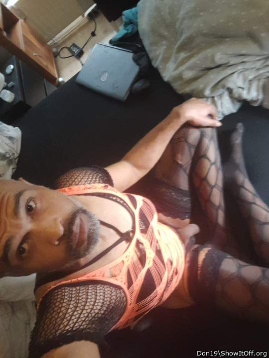 Photo of a tool from Don19